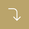 Icon (6)